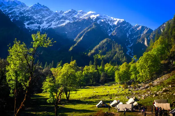 Shimla,Kullu, Manali Tour