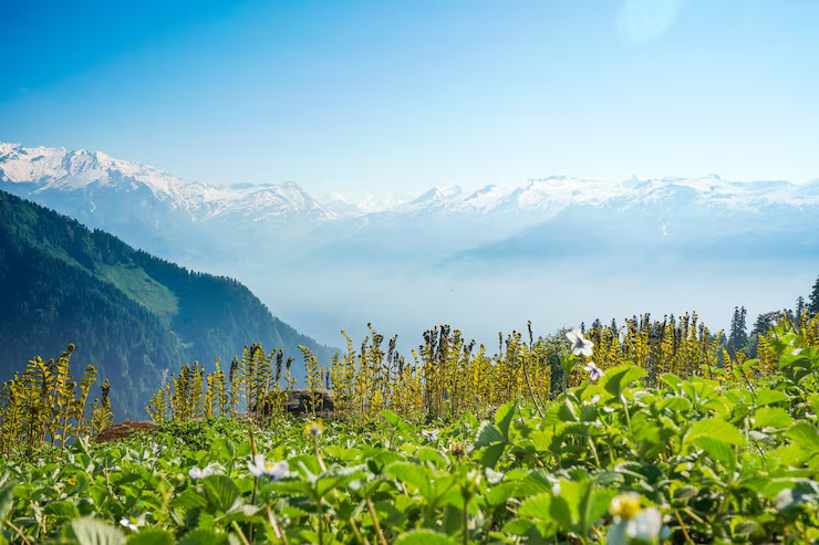 himachala-2